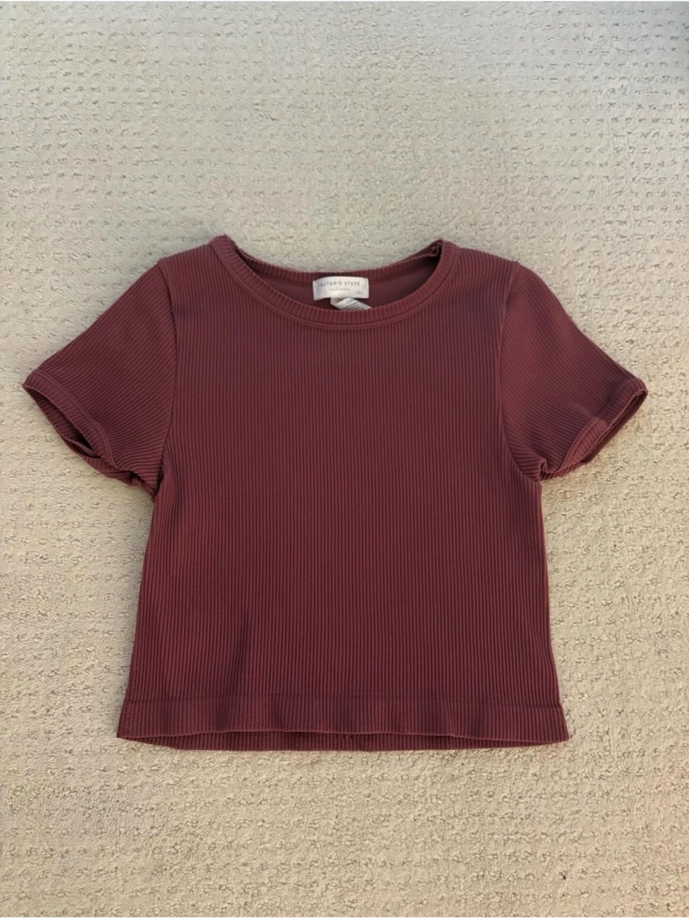 Altar'd State Ribbed Crop Tee in Mauve Berry